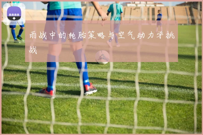 雨战中的轮胎策略与空气动力学挑战