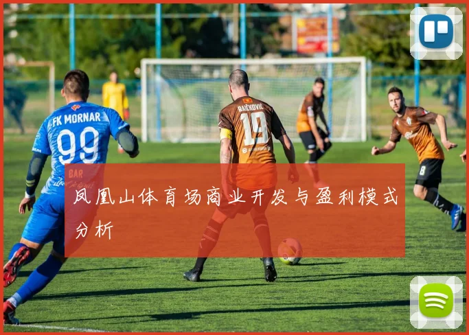 凤凰山体育场商业开发与盈利模式分析